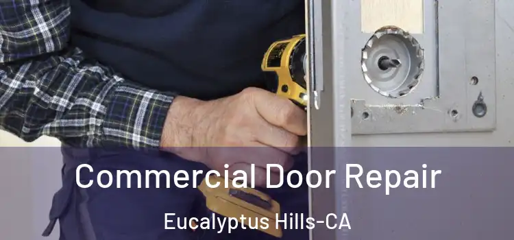 Commercial Door Repair Eucalyptus Hills-CA