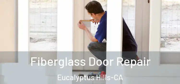 Fiberglass Door Repair Eucalyptus Hills-CA