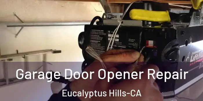 Garage Door Opener Repair Eucalyptus Hills-CA