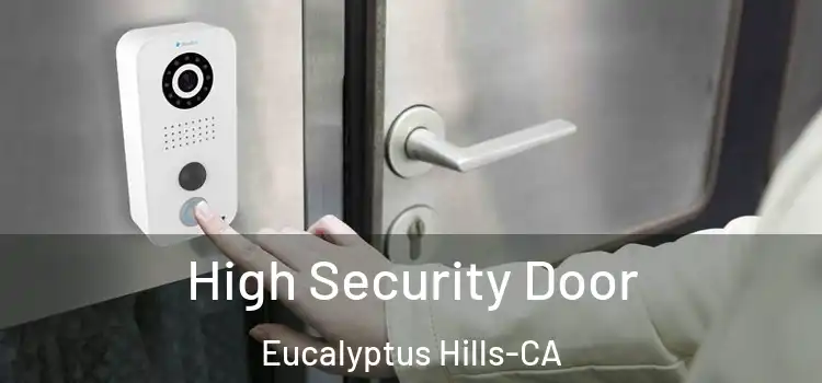 High Security Door Eucalyptus Hills-CA