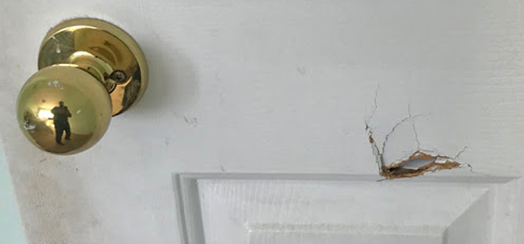 interior door hole repair Eucalyptus Hills