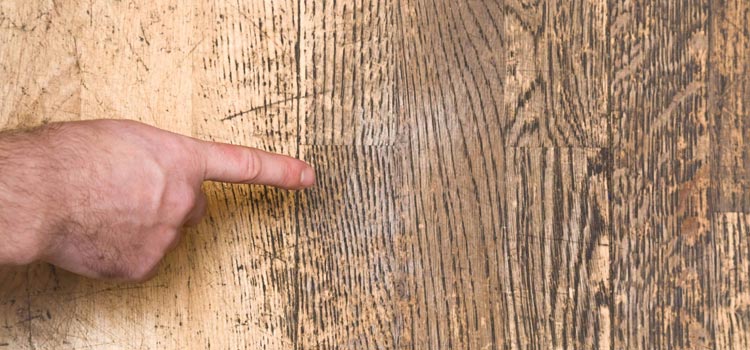 Wood Door Scratch Repair in Eucalyptus Hills